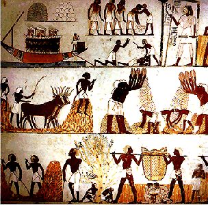 Getreideernte, Wandmalerei, Grab des Menena, Neues Reich, 18. Dynastie, West-Theben, TT 69