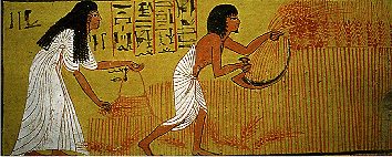 Schnitter und hrenleserin, Theben, Grab des Sennedjem (19. Dynastie)